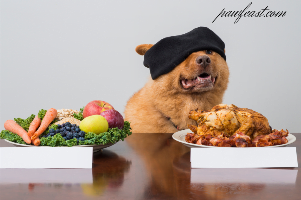 dog with food table