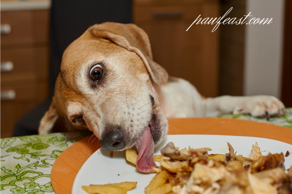  soft dog treat recipes and nutrition , 